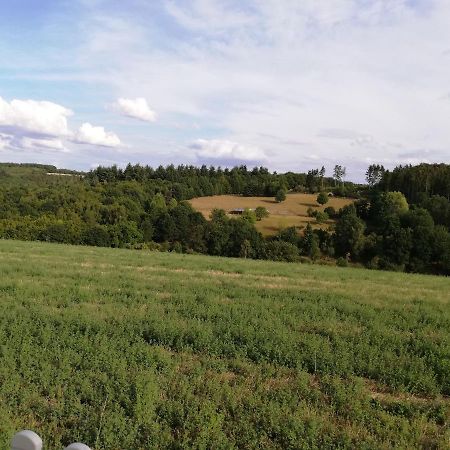 Ferienwohnung Altmaier - Ferien Auf Dem Lande Griebelschied Eksteriør billede