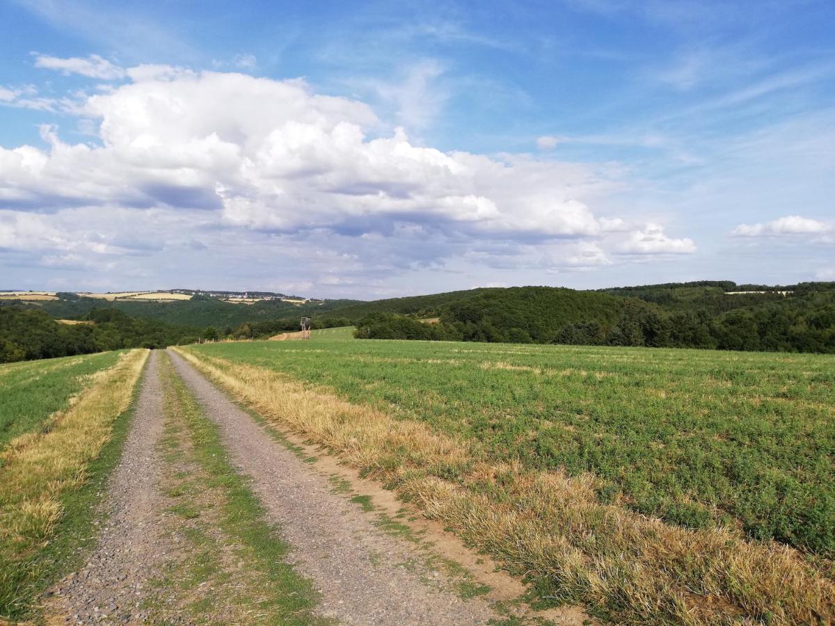 Ferienwohnung Altmaier - Ferien Auf Dem Lande Griebelschied Eksteriør billede